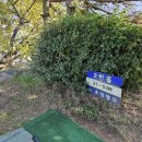 초정밸리 이미지