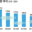 명태 이어 오징어, 가자미까지.. 못잡는 어종 늘어난다 이미지