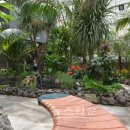 공주산성시장 이미지