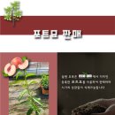 도원유통 네이버블로그