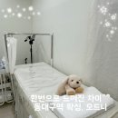 하프네일 | [동대구역 왁싱] 오드니 팔 하프 관리 후기