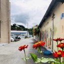 선장면 아산만로 이미지