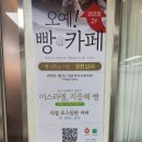 지중해 빵집 오아시스 예한 베이커리 카페/건강한 빵집, 속 편한 유기농 빵/ 할라 빵
