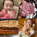본가신토불이