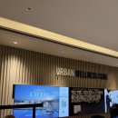 씨엘로호텔 | 대구 메리어트 어반 씨엘로 후기/루프탑/대구호텔수영장