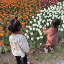 유림-1080 이미지