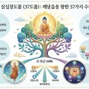 알기 쉬운 십이연기 공부하기 이미지