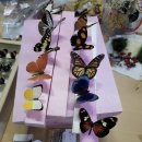 나비공방 이미지