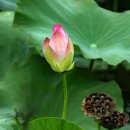 경주목장 이미지