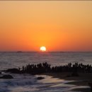 풀빛향기 이미지