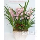 광산구-080 이미지