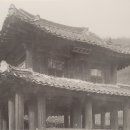 평창 오대산 사고 이미지