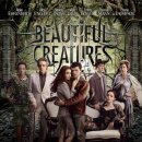 뷰티풀독 이미지