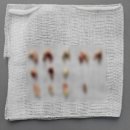 럭키덴탈 | 노견 강아지 치석치태관리 입냄새제거 치약 내돈내산 추천 <보가덴트 덴탈크림 vs 덴티멀 더블액션 치약>