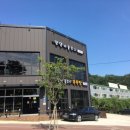 댕댕이블루스 이미지