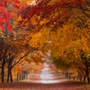 춘천하늘캠핑장 이미지