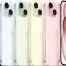 15 이미지