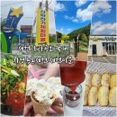 농촌체험코스(남부) | 체험마을 체험나라공화국 in 가평 농촌체험 이색체험 후기