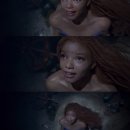 베일리컴퍼니주