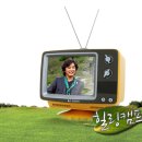 메이 캠프 이미지