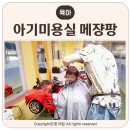 대구 아기 미용실 추천 메쟝팡 후기 어린이 미용실 내돈내산 키즈미용실