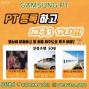 감성피티