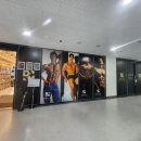 DM GYM | DM GYM 맞춤형 프로그램과 7년 이상의 전문적인 트레이너에게 퍼스널 PT를 받을 수 있는 풍무동 헬스장...
