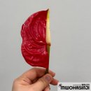 유성대로3 | 2025 화훼장식 기사 후기 (광주•대전 시험장 비교)