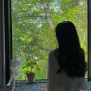 신뮤지엄 이미지