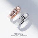 데시아 대표 &#39;하람&#39; 후기💍