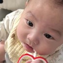 한국복지용품전문점 | 일본 아기용품 추천템 오사카 아카짱혼포 호빵맨 딸랑이 장난감 쇼핑