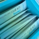 스텔라 인셀덤 네이버블로그