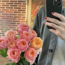 운남칼국수 이미지