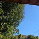 대불식당 이미지