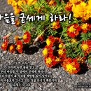 PICTURE&TEXT_20241110_마음을 굳세게 하라!_요한일서 3장 19-20절_오순절 후 스물다섯 번째 주일 묵상_바닥에서 피 이미지