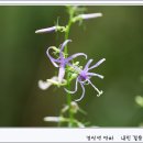 시원한 바람