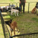 쉽고 재미있는 캐리커처 이미지