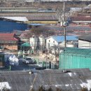 부강농장 이미지