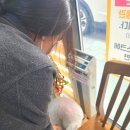 골드퍼피동물병원 공릉점 이미지