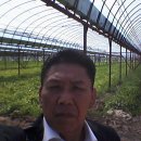 길림농장 이미지