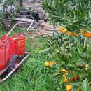 온주농장 이미지