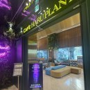 서울앤치과 | 강남역 하루플란트치과 임플란트 후기 (가격정보포함.내돈내산)