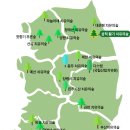 삼척 활기 치유의 숲 이미지
