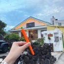 구좌읍사무소 | [내돈내산] 제주 구좌카페/월정리카페 오늘도화창 솔직후기