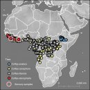리온커피 이미지