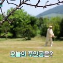 다움생식 - 전주시 완산구 | 다움생식