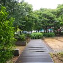 개나리공원 이미지