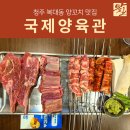 5겹생고기 | 청주 복대동 회식 국제양육관 ㅣ 잡내없는 양꼬치&amp;양갈비 맛집 🐑