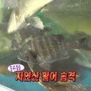 물고기아저씨 이미지