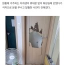 “창문 없는 원룸 화장실 갇혀 문 부수고 극적으로 탈출”…자취생 아찔 경험담 이미지